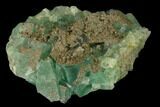Green Fluorite Crystals with Druzy Pyrite - Fluorescent #136883-1